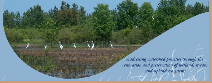 Addressing watershed priorities through the restoration and preservation of wetland, stream and upland ecosystems